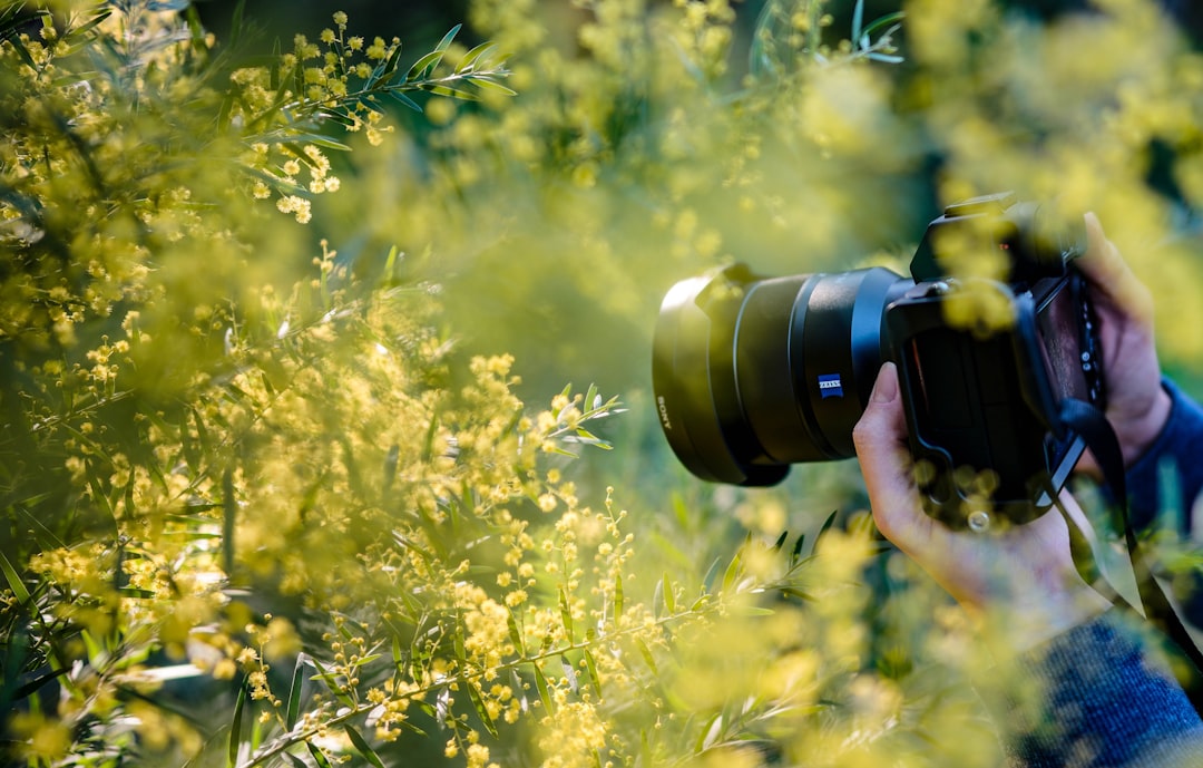 The Lightroom Slider That Kills the White Halo on Mountain Edges